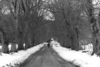 Schw�bische Alb